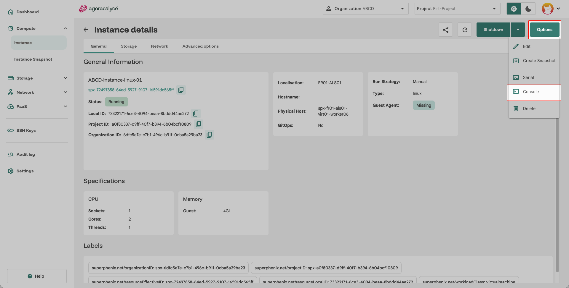 Instance Linux Details